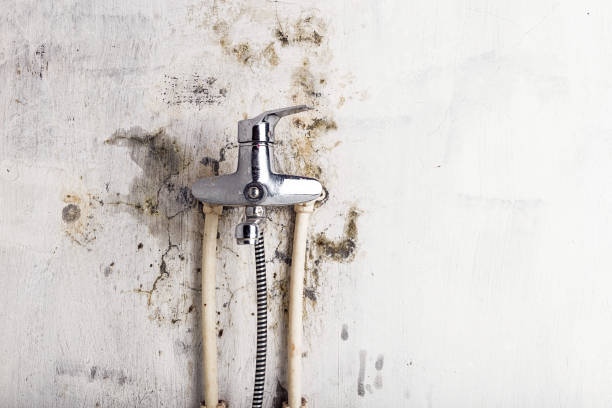 Water Damage Restoration in Halfway, MD