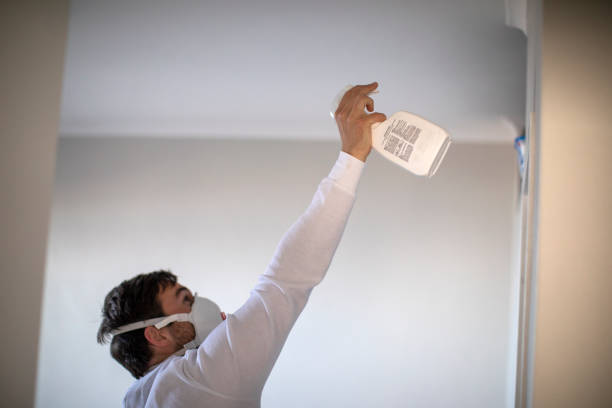 Best Mold Damage Repair  in Halfway, MD