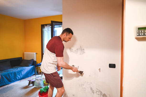 Best Mold Testing  in Halfway, MD